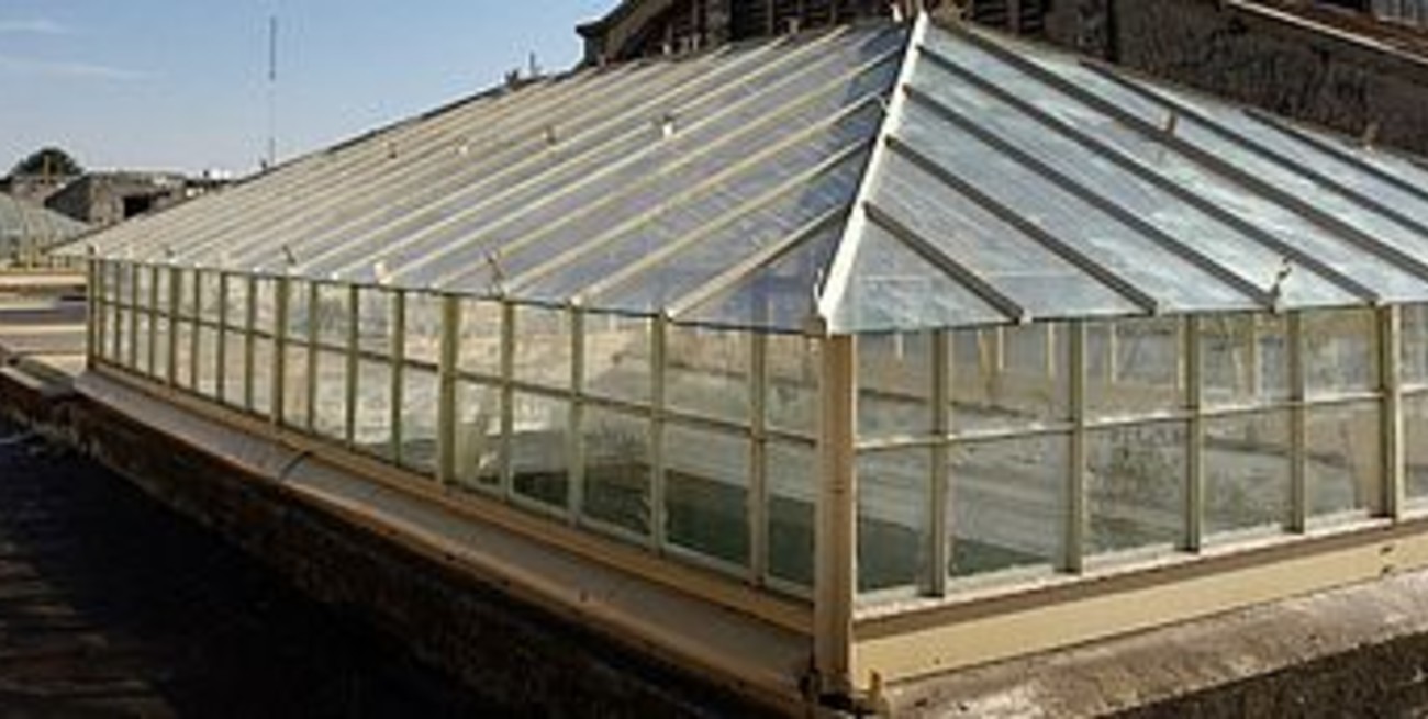 Recuperaron los históricos lucernarios de la Belgrano