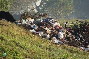 Vecinos reclaman al municipio que limpie un basural
