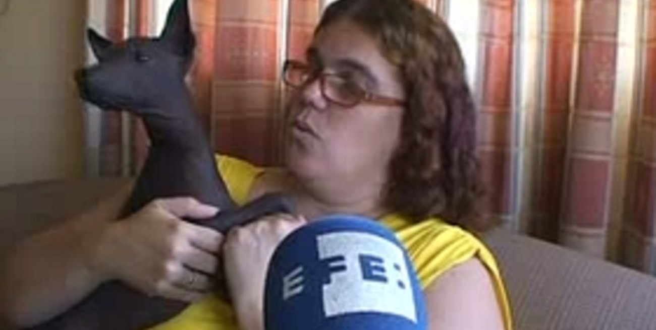 El el Día del Animal presentamos a Viringo, la mascota perfecta