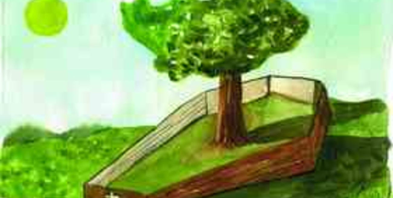 El primer ataúd ecológico es un invento argentino