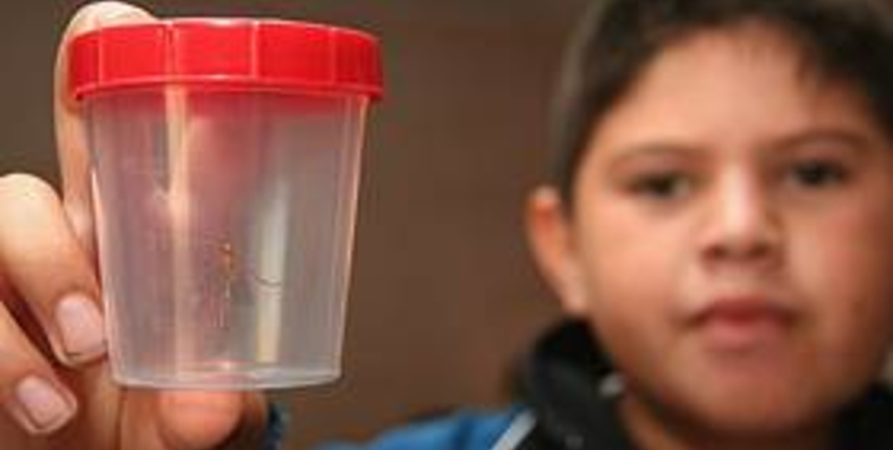 Prevención, la mejor herramienta