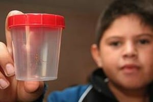 Prevención, la mejor herramienta