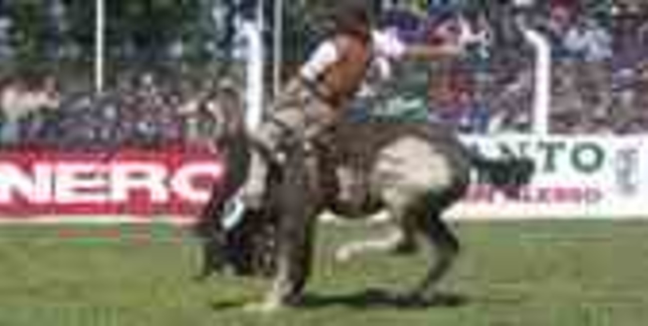 Ultiman detalles para una nueva Fiesta de la Doma en San Justo