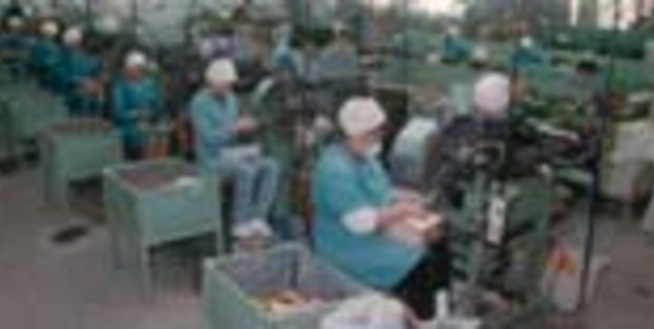 Cidal traslada cinco de sus máquinas a San Luis