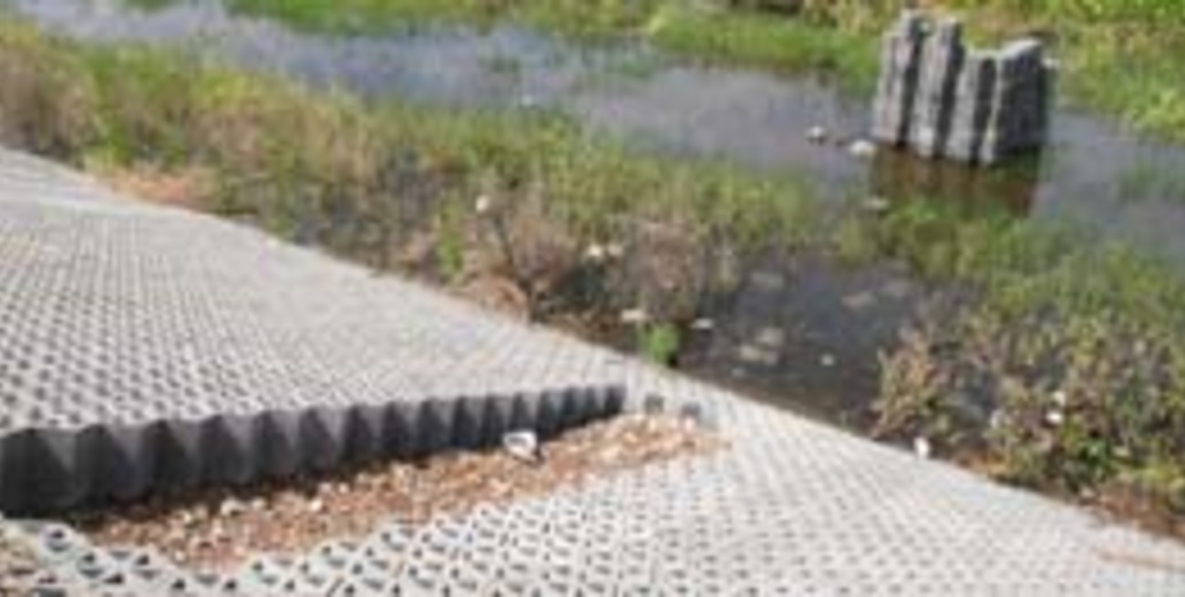 Siguen extrayendo los bloques de hormigón en el talud de defensa