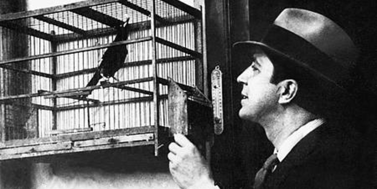 "Zorzal criollo" e inmortal