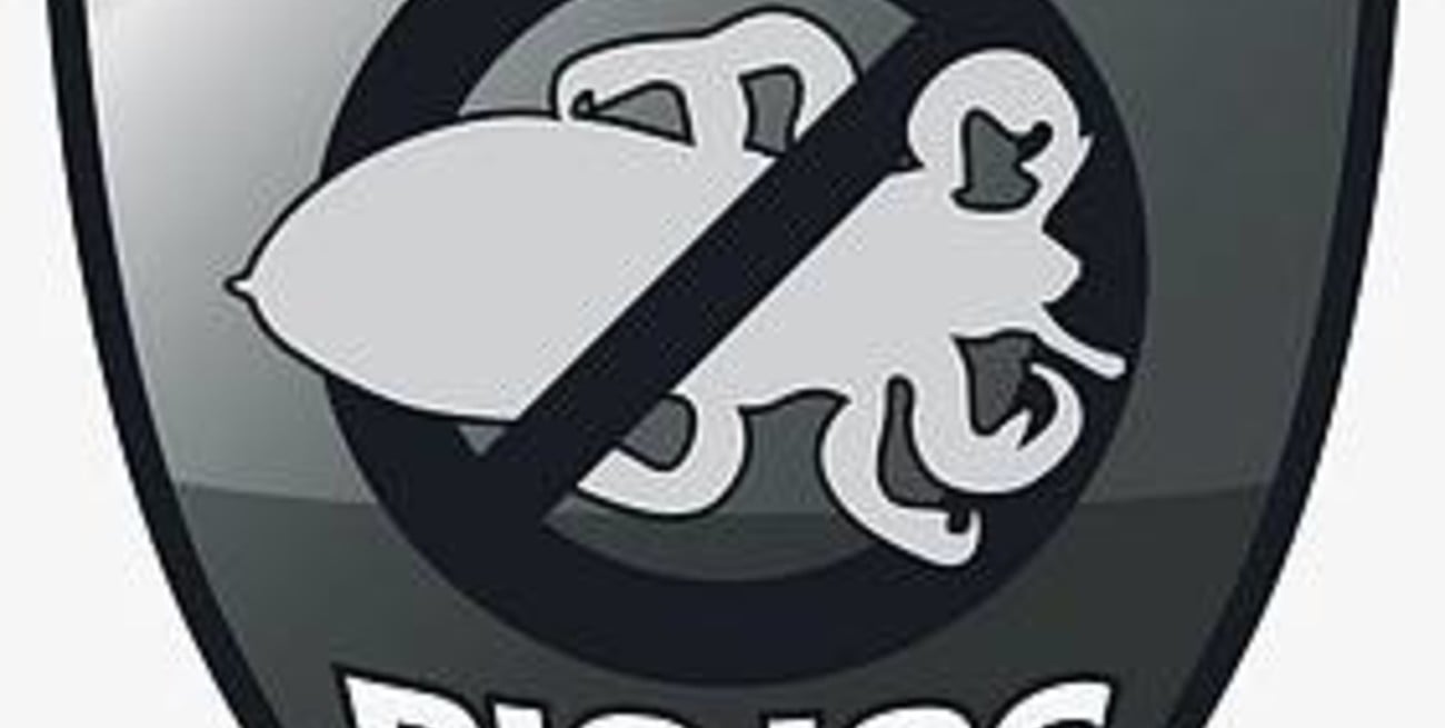 Revisar las cabezas de los chicos: prioridad antes de empezar las clases