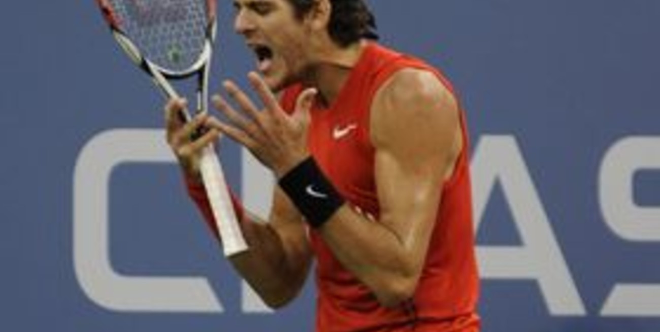 Juan Martín Del Potro dejó todo, pero no pudo con Andy Murray