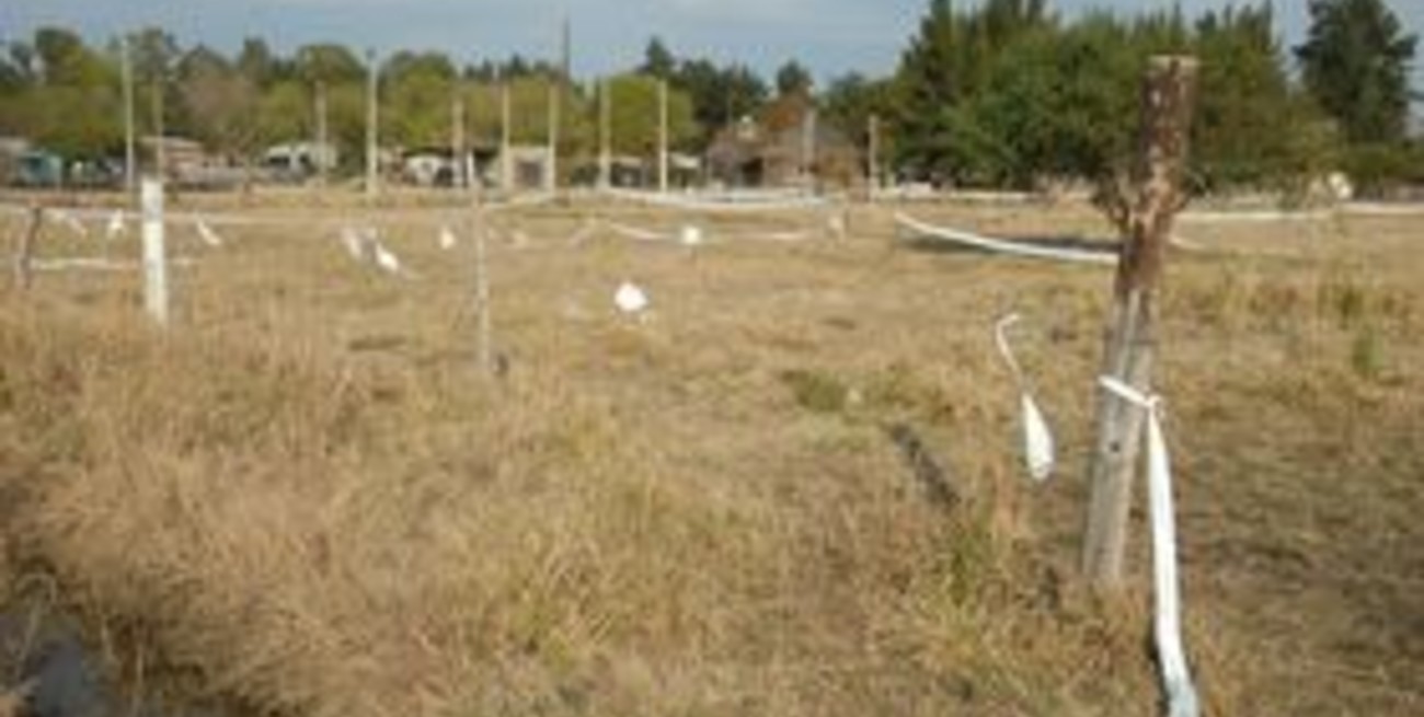 Insólito: Vecinos de La Guardia lotearon arbitrariamente terrenos privados