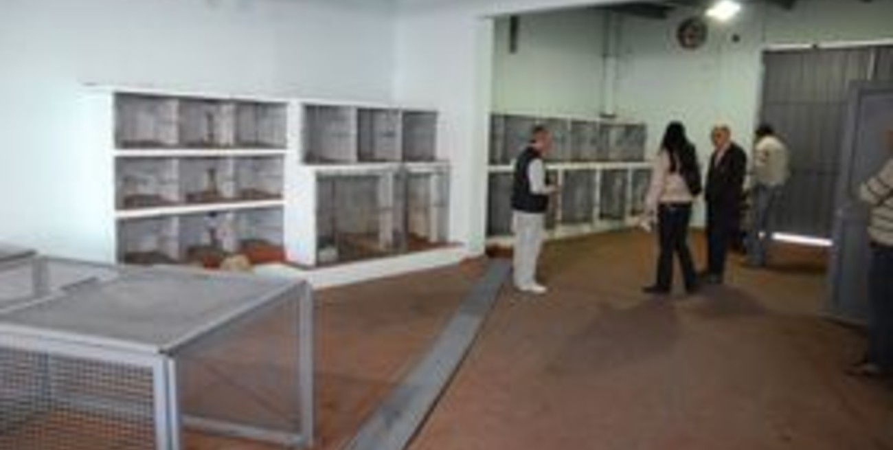 Cuestionan la ley que permite sacrificar a perros mordedores