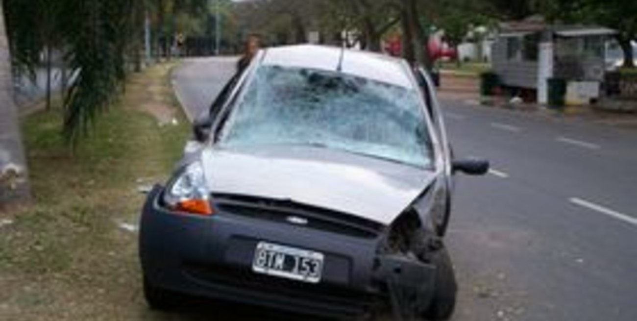 Así lo cuenta una lectora testigo