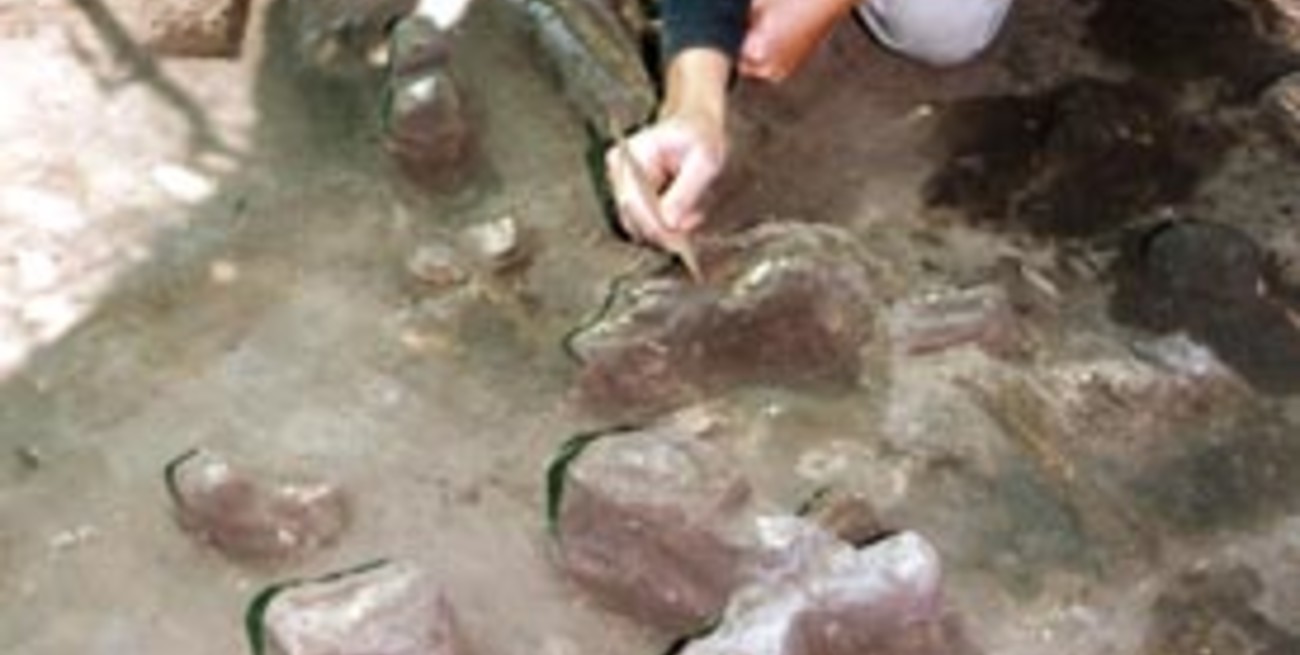 Impresionante hallazgo en Santo Tomé