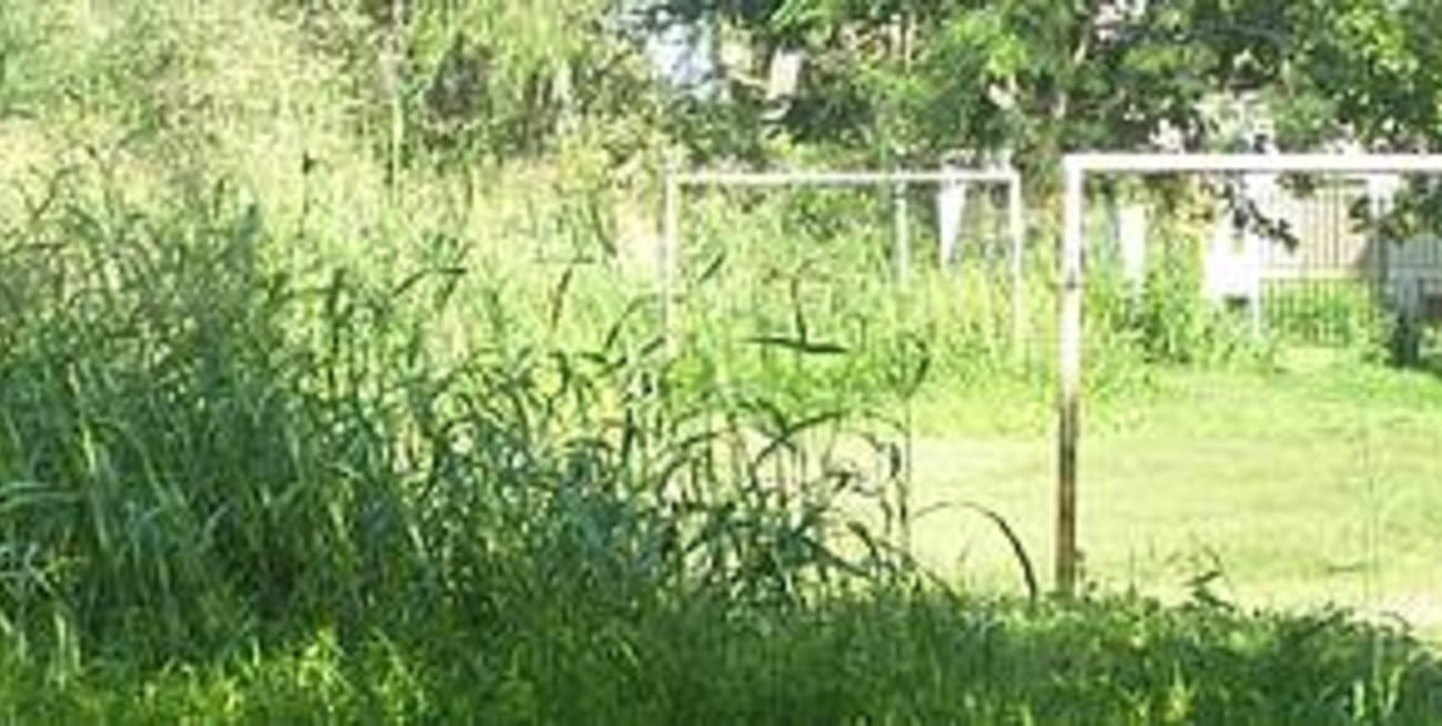 Una canchita de fútbol entre pastizales