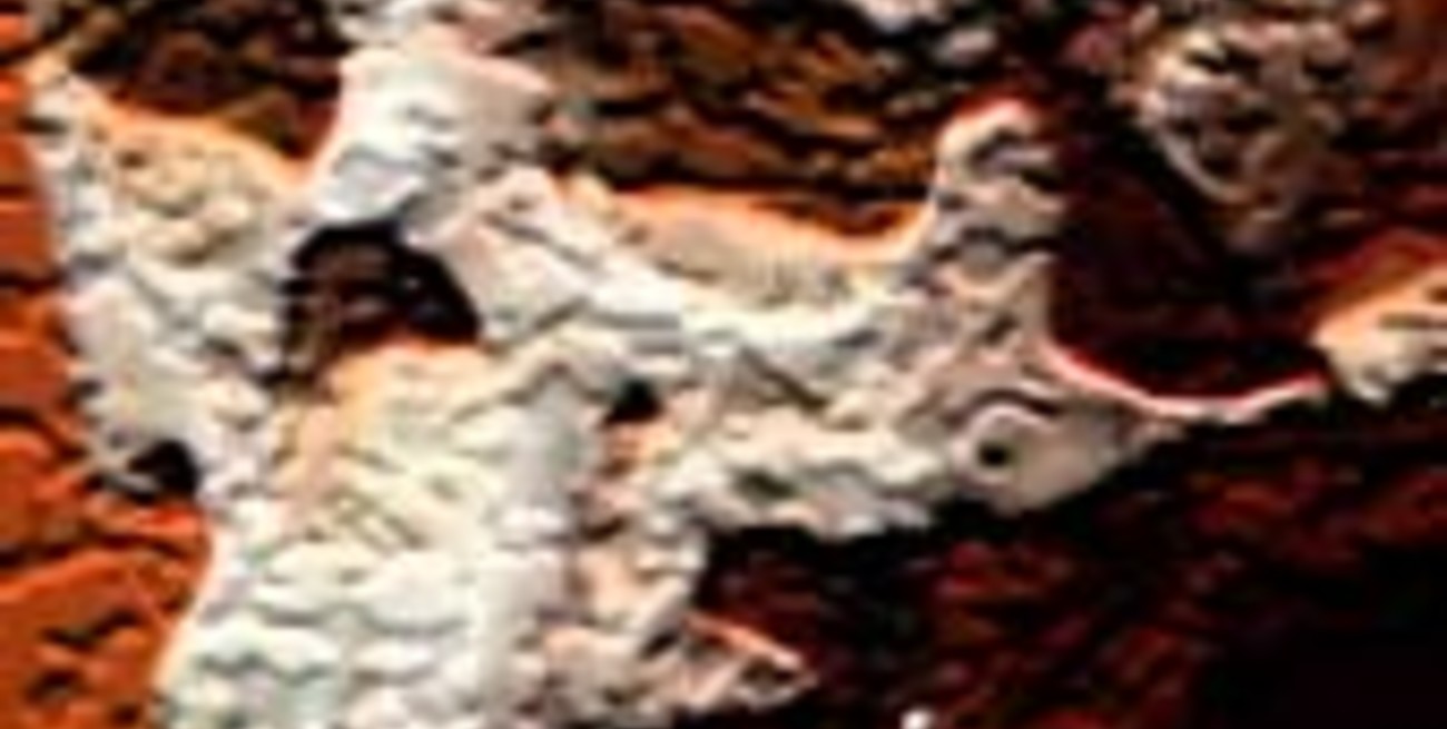 Hallan fósiles que cuestionan la línea evolutiva del hombre