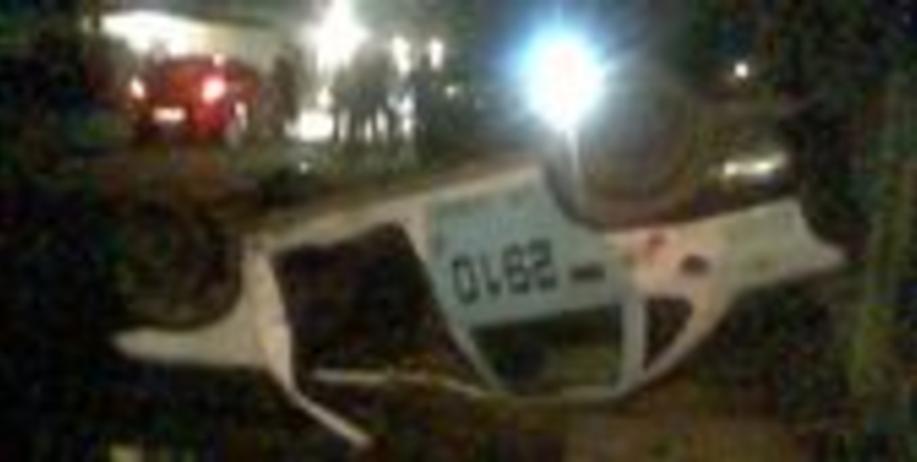 Piden lomos de burro en Zavalla al 7200 