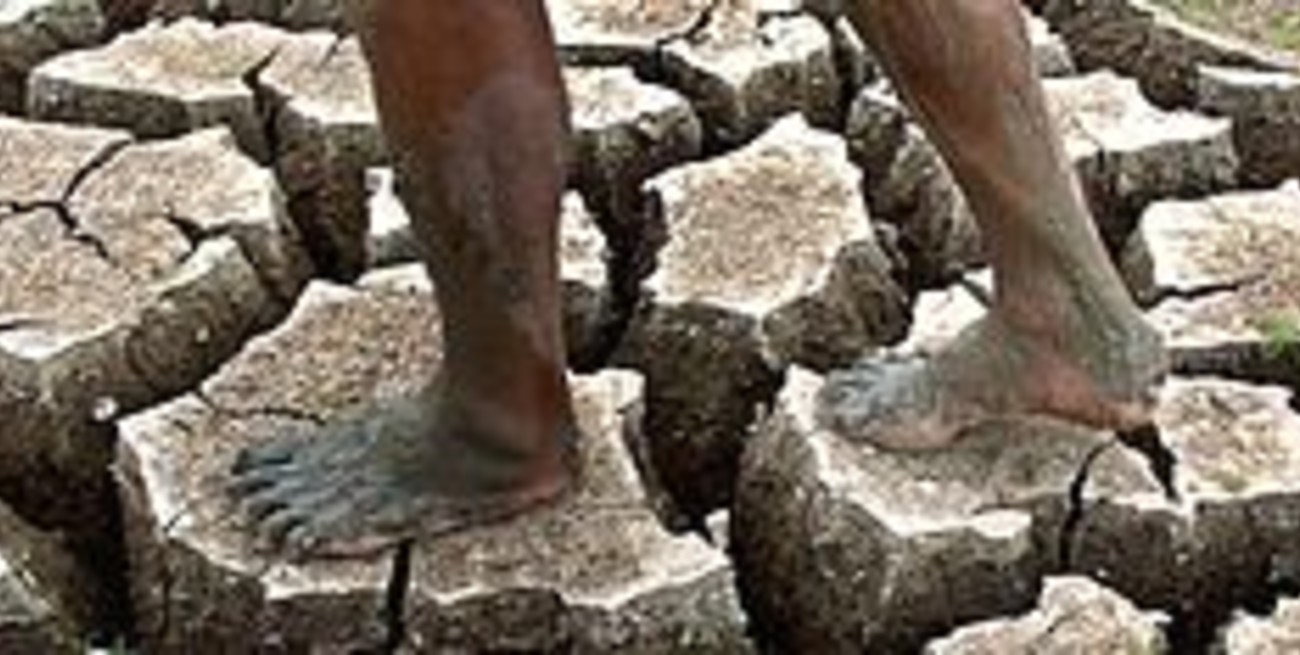 Se celebra hoy el Día Mundial del Medio Ambiente