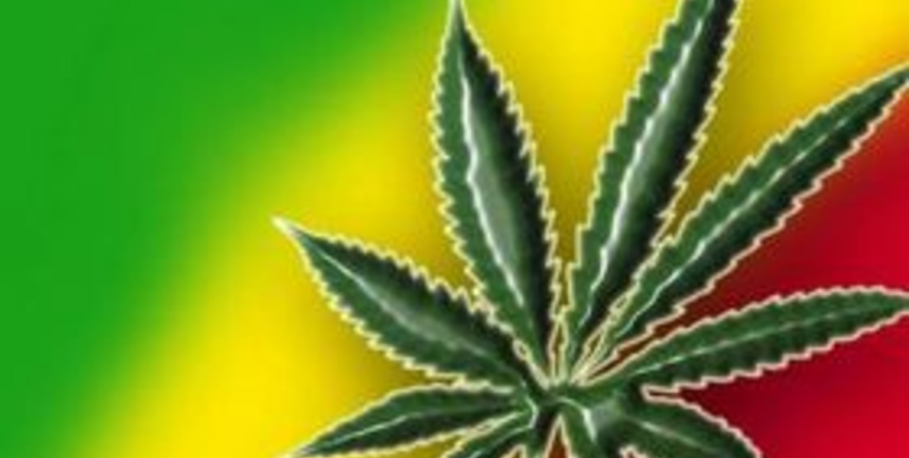 Los fieles rastafarianos tienen derecho a fumar marihuana