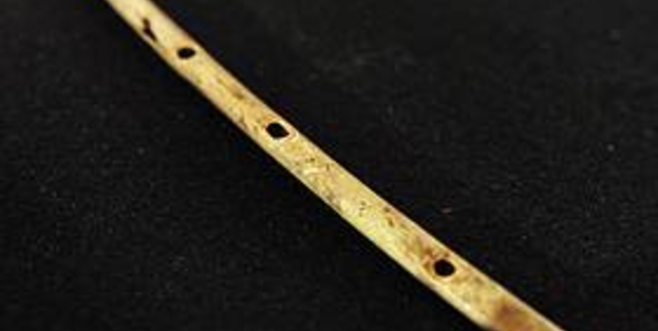 Hallan en Alemania una flauta de 35 mil años de antigüedad