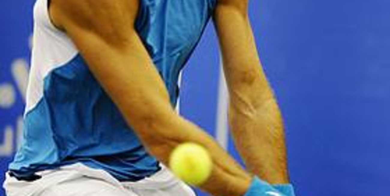 Del Potro avanza en el ATP de Memphis