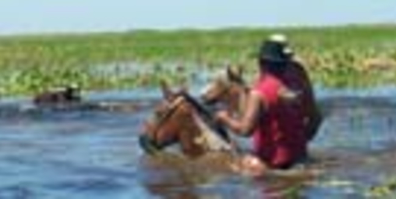 Diputados solicitó apoyo para ganaderos con campos anegados