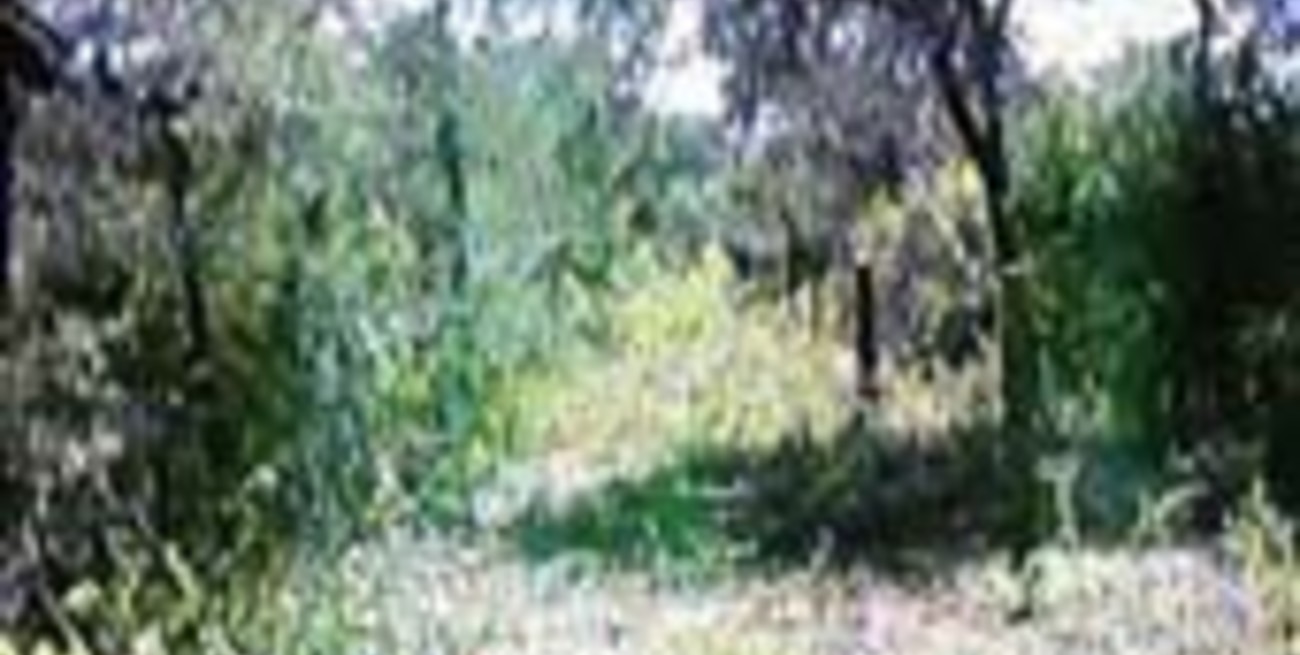 Violencia contra campesinos por desmontes