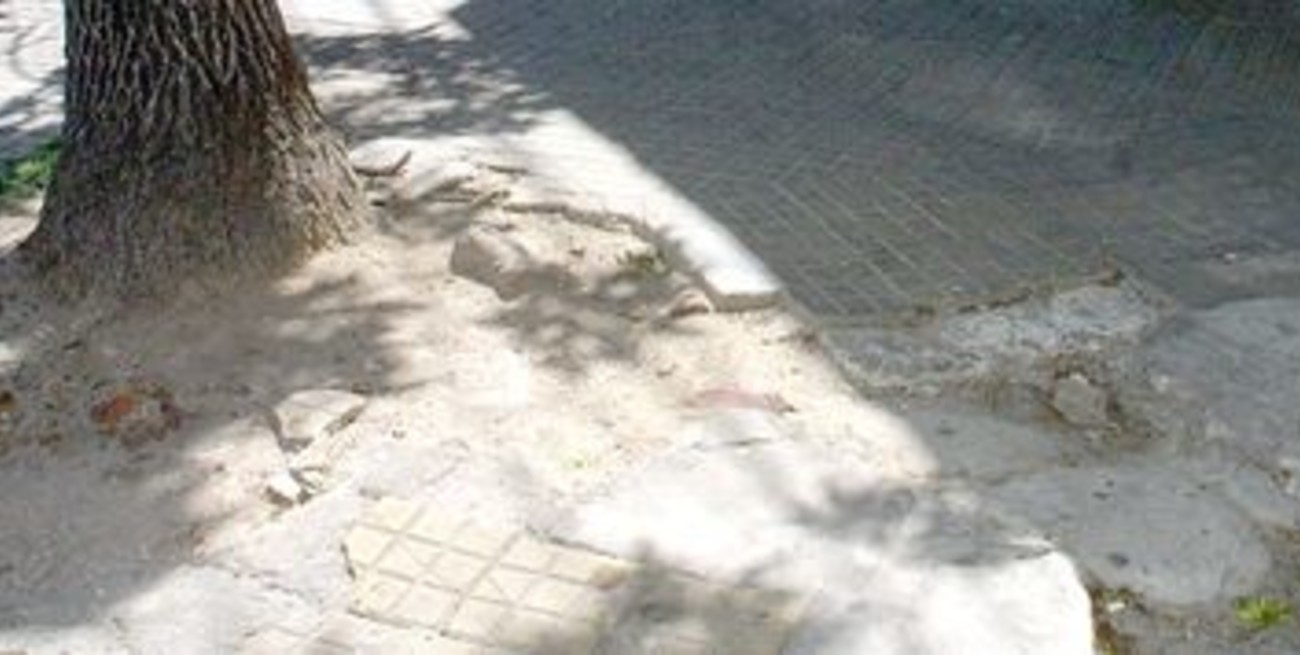 El Tribunal de Faltas amplía sus facultades desde el próximo mes