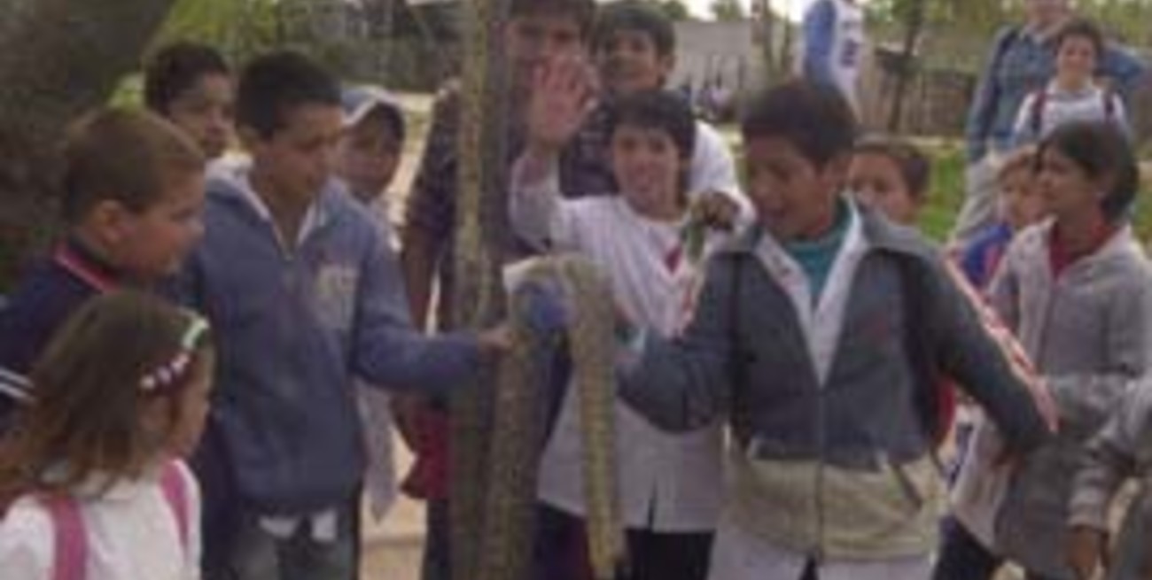 Vecinos de Ciudadela sorprendidos con la aparición de una víbora