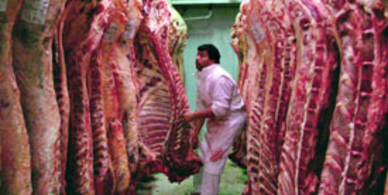 Capitales de Brasil suman cuota Hilton de Argentina