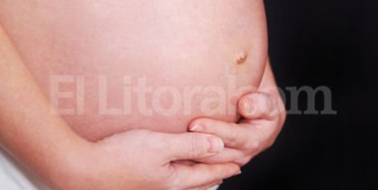 Más de 20 mil santafesinas se beneficiarán con la asignación para embarazadas