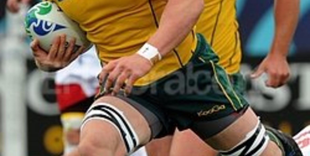 Los Wallabies comienzan con la preparación