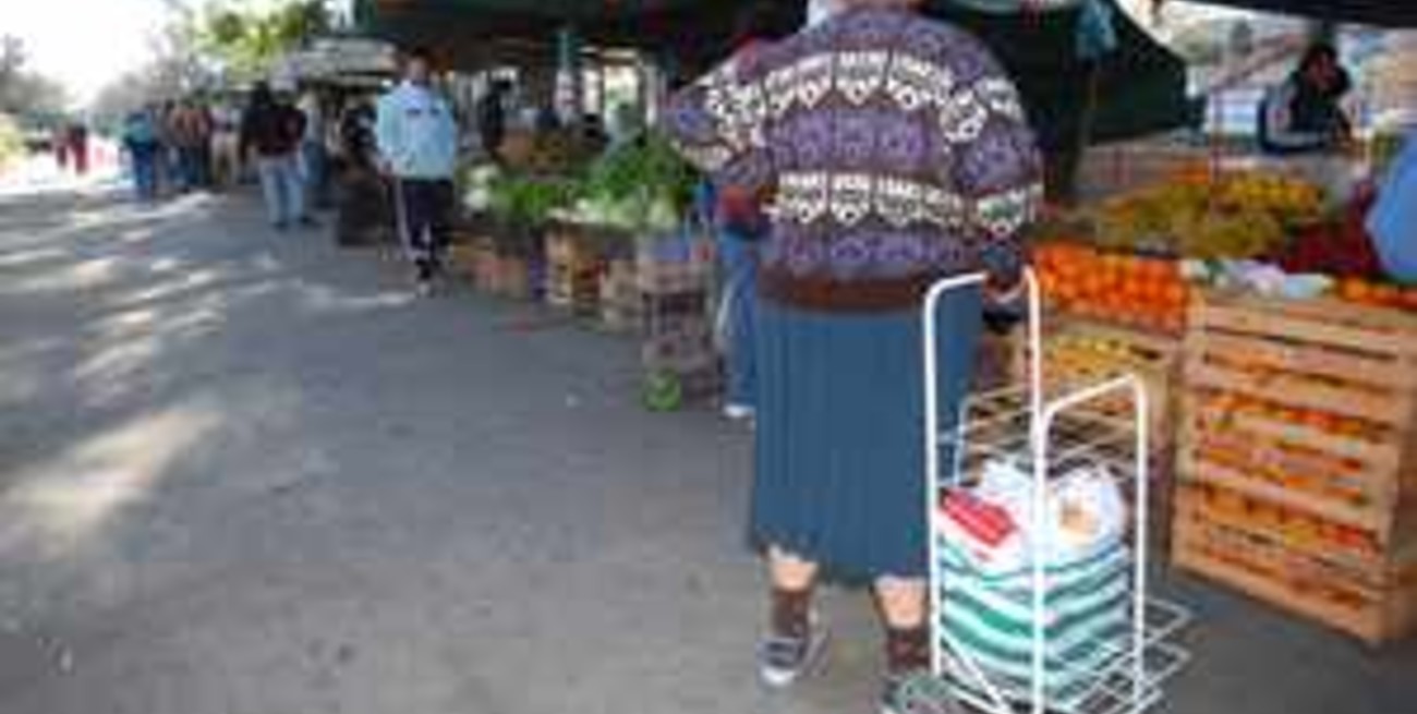 Volvieron los changuitos y se entregan menos bolsas plásticas