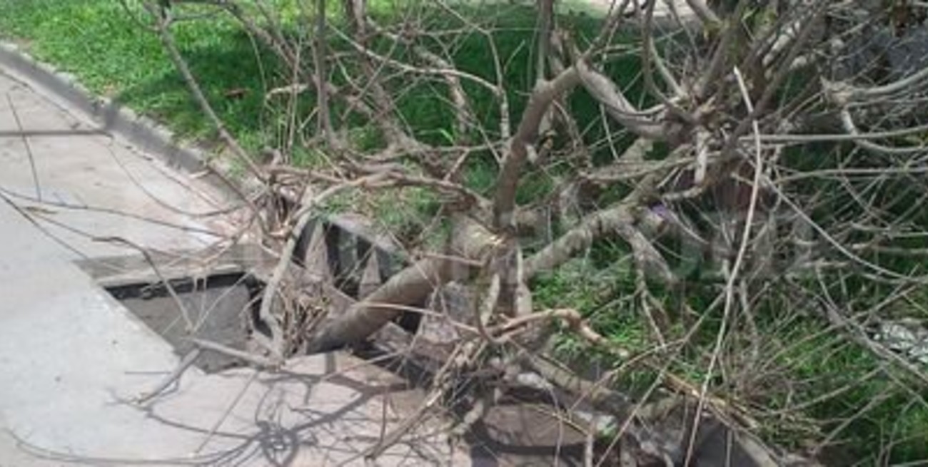 En la ciudad hay que reemplazar 550 tapas de bocas de tormenta