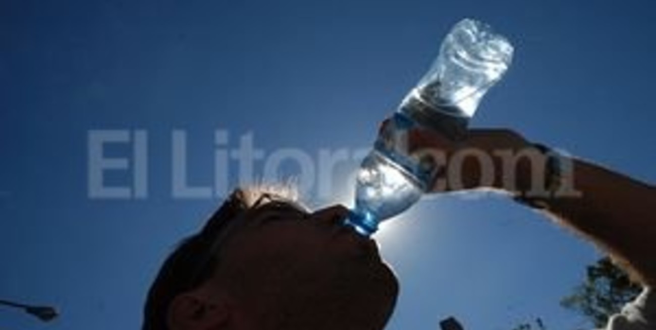 Recomiendan tomar mucha agua y cuidar la cadena de frío en alimentos