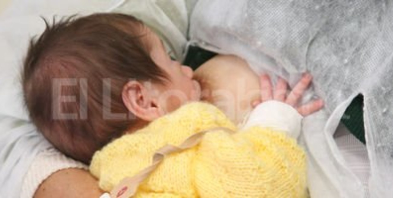 La compañía de las familias es un derecho de los bebés prematuros