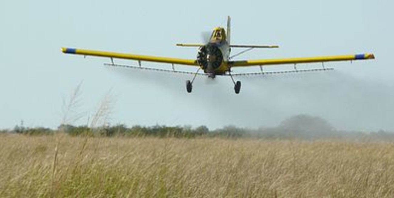 Logran detectar rápidamente endosulfán en grasas