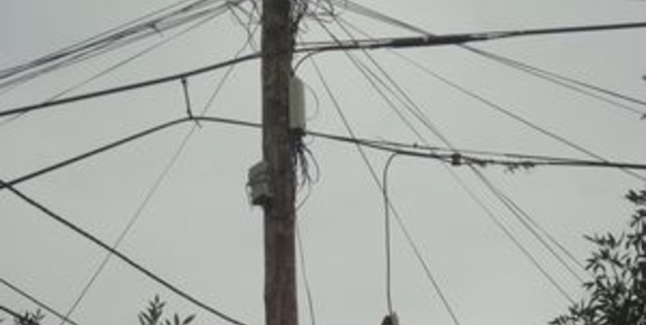 Sin teléfono hace 51 días