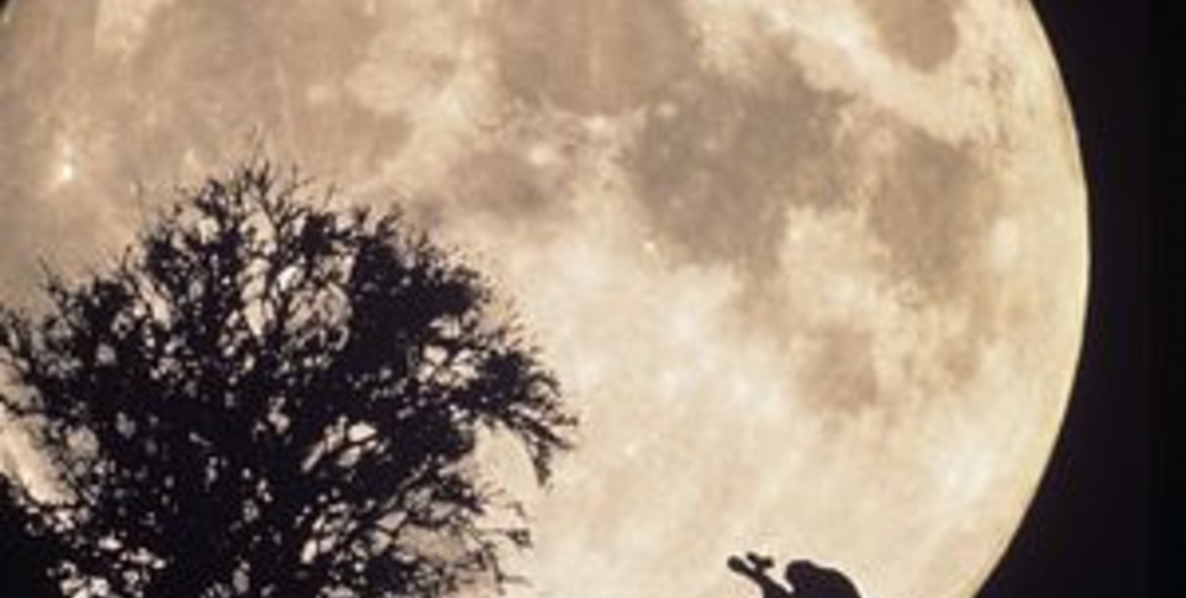 El 2010 llega con Luna llena