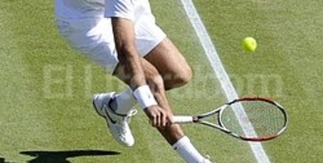 Se postergó para este martes el partido entre Del Potro y Ferrer