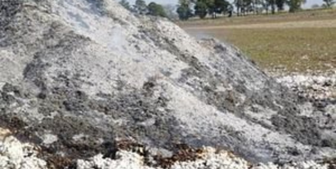 Se recuperan los chicos del trágico incendio en Hardy