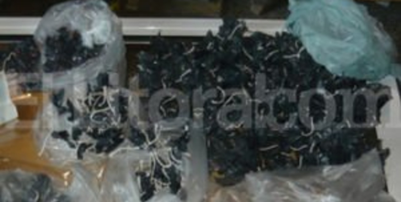 Cocaína y marihuana en Villa Constitución