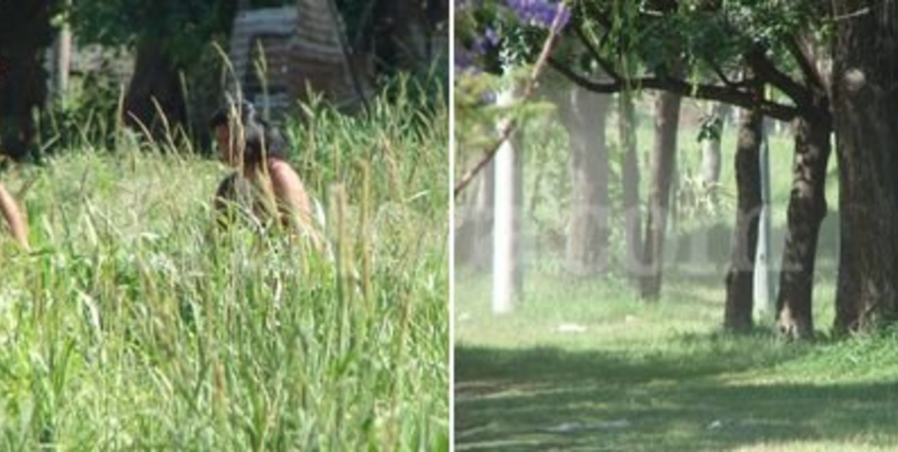 Vecinos de Guadalupe Este se quejan por la maleza