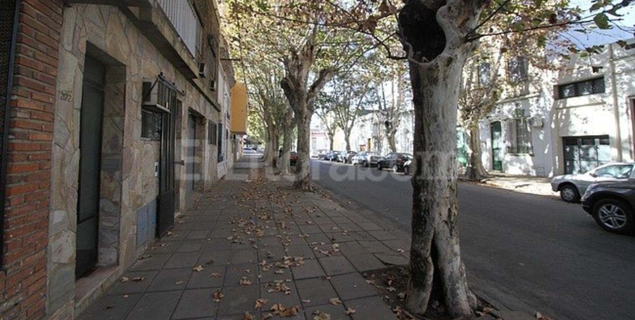 Encontraron dos murciélagos que podían transmitir rabia