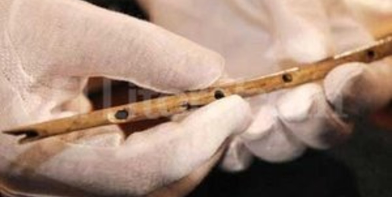 Descubren instrumento musical de más de 43 mil años