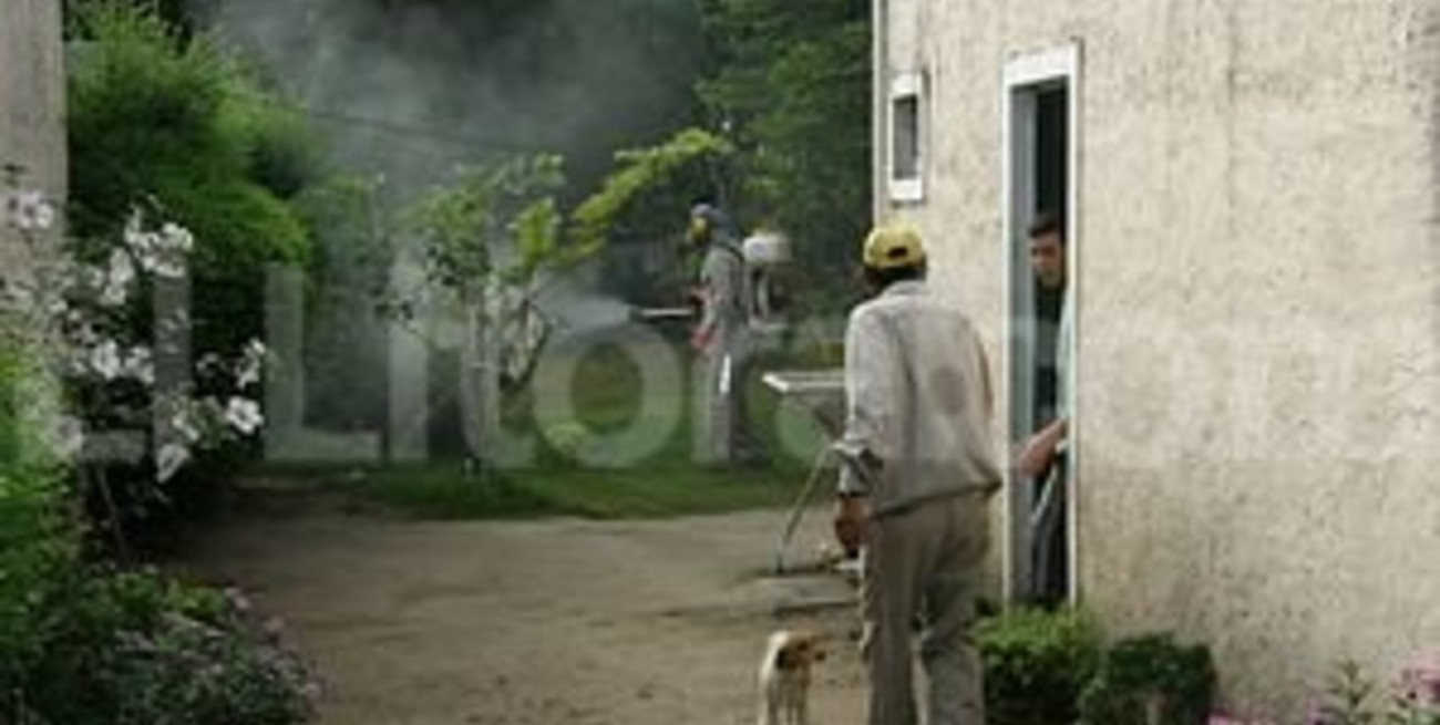 Romang se convirtió en un pueblo fantasma por el miedo al dengue