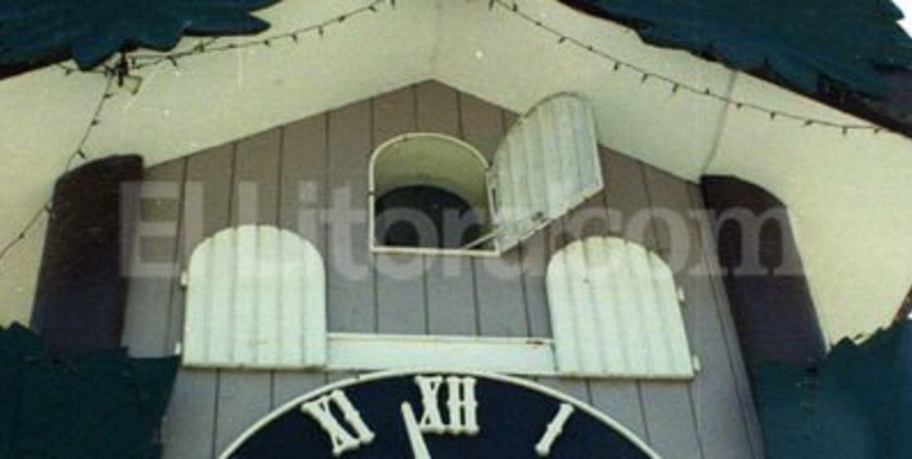 Rescataron al pájaro del reloj cucú de Carlos Paz