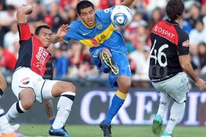 Boca, un elefante que revivió en el Cementerio