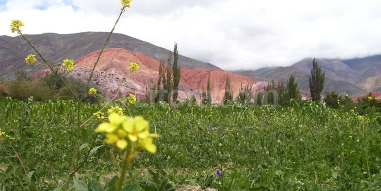 Salinas Grandes, un lugar imperdible 