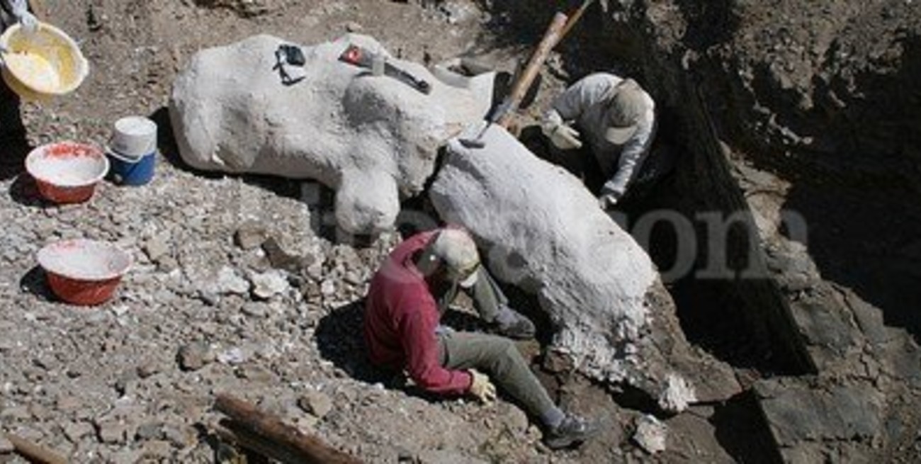 Hallan restos completos de un dinosaurio