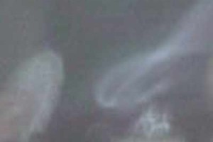 ¿Un fantasma en el celular?