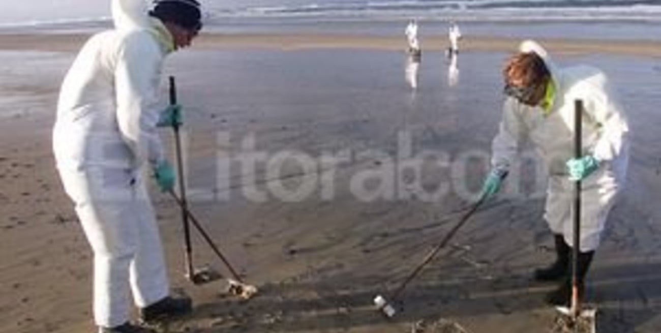 Identifican bacterias marinas que degradan compuestos del petróleo